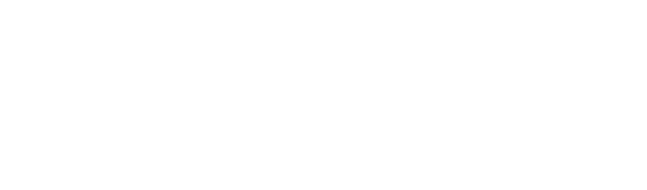 DataCrazy — parceiro oficial do Gruppo Vertex